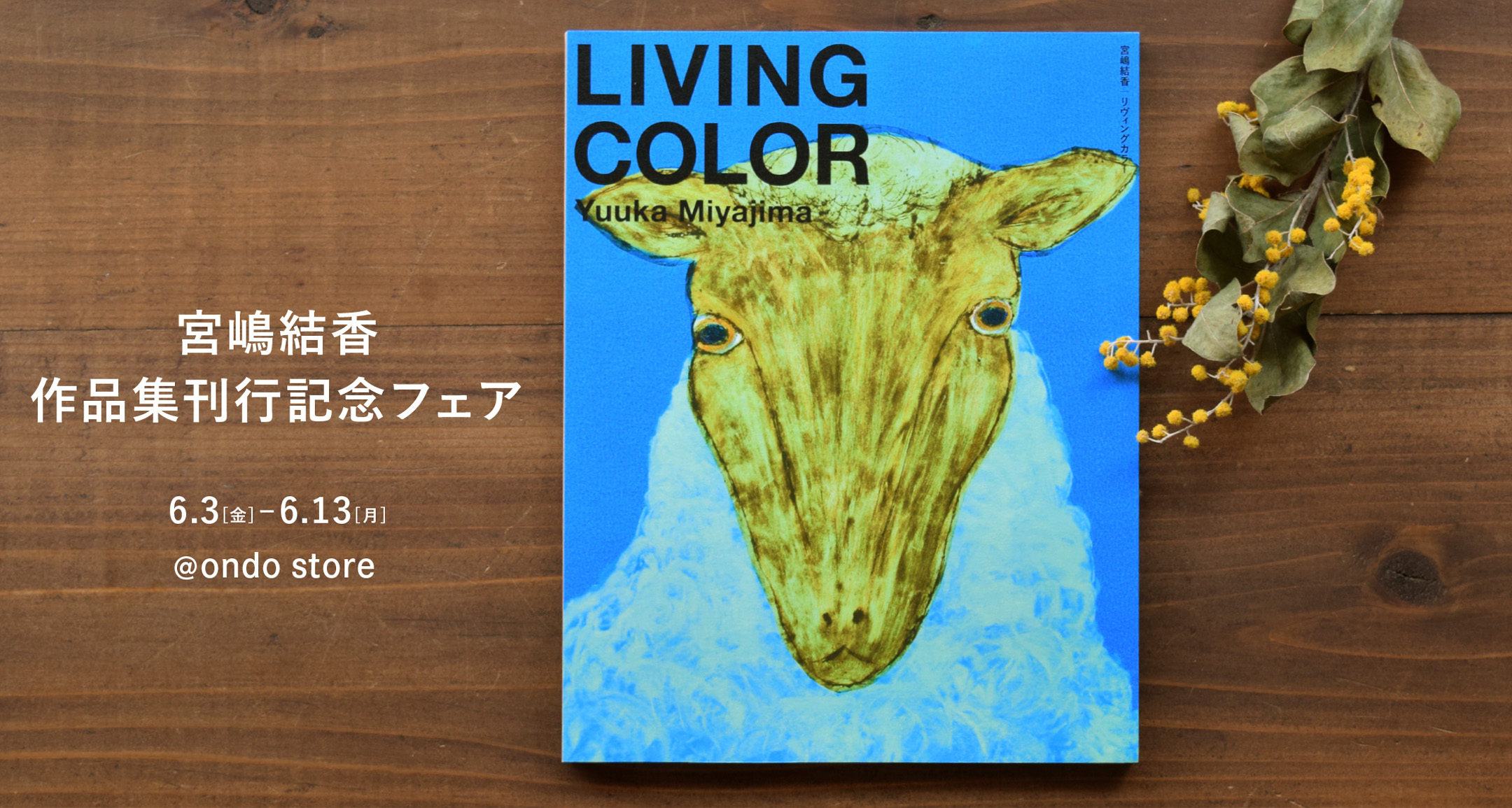 miyajima-book_slide_2160×1155
