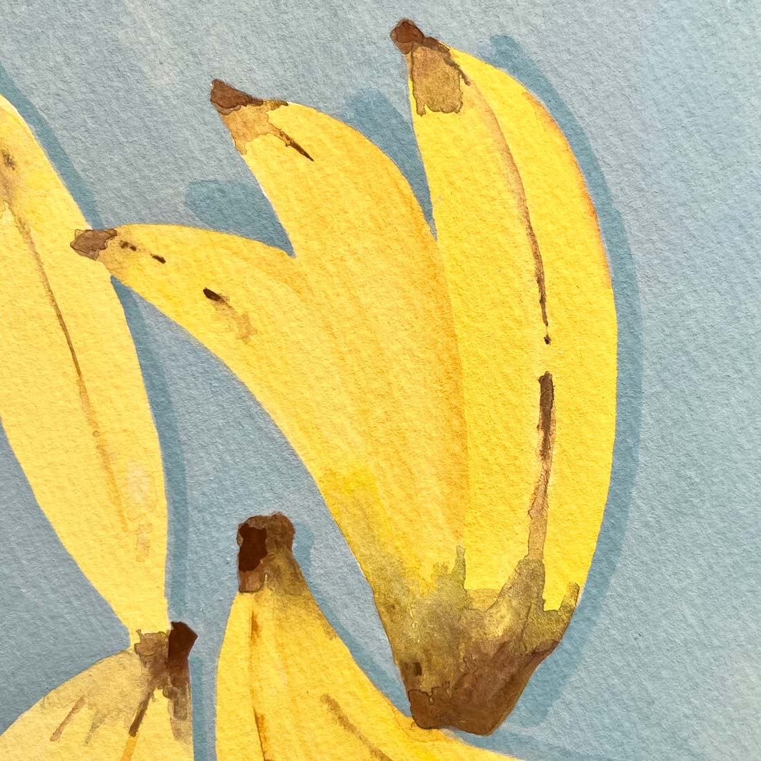 作品「bananas」